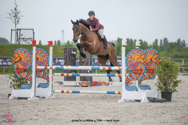 Hongre 11 ans par JARNAC 