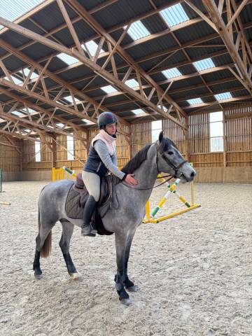 Poney de 3 ans 