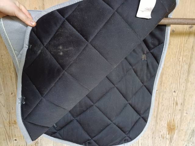 Tapis dressage
