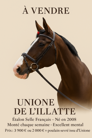 UNIONE DE L'ILATTE étalon certifié fils de quasimodo Z