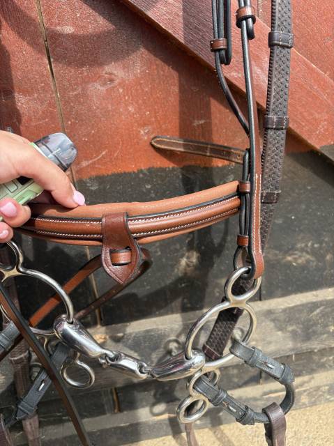 Filet / bridon Éric Thomas havane