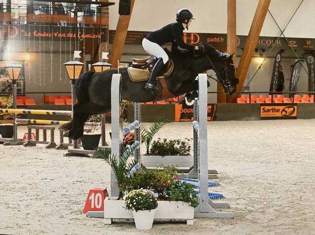 Poney maxi C à louer 
