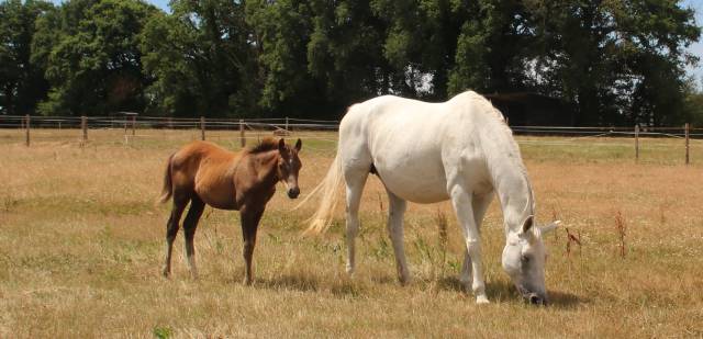 Domaine de l'epechere