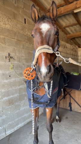 Couverture activomed 