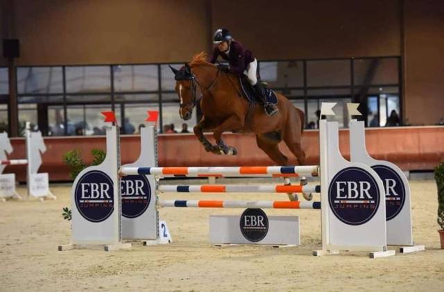 Dp cheval de sport 