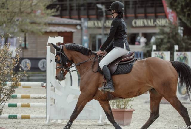 Selle CWD 17,5 de 2023