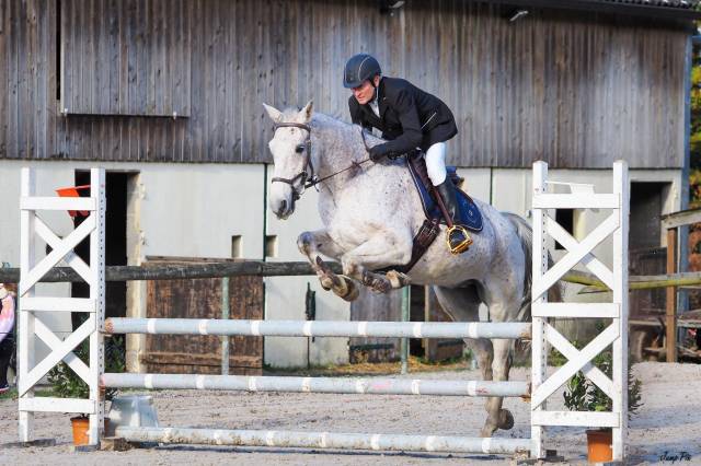 Cheval de sport 16 ans maitre d'école