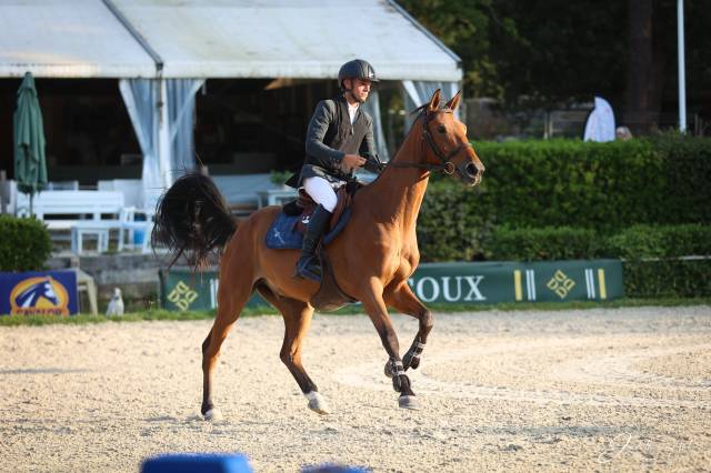 Top cheval d amateur 
