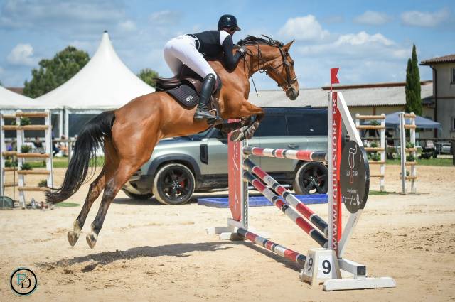Top cheval d amateur 