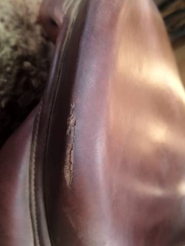 Selle Antares évolution 