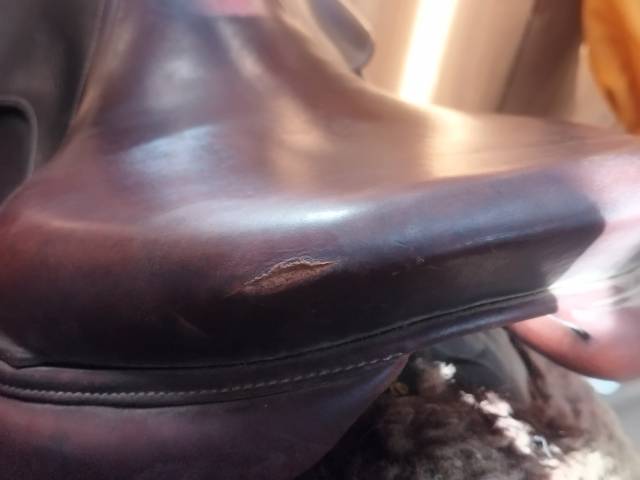 Selle Antares évolution 