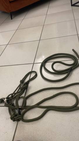 Licol éthologique pour monter + longe 