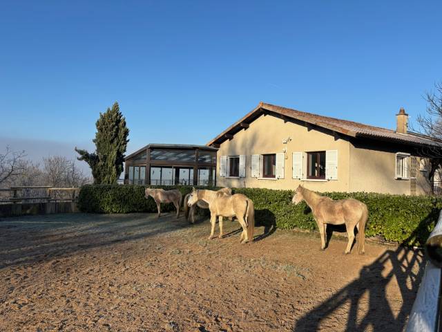 Magnifique propriété dans l'ouest lyonnais 