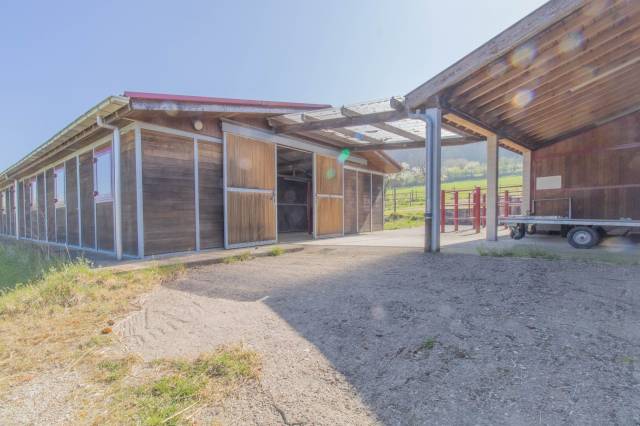 Ferme équestre : maison de 237 m² habitables, terrain d