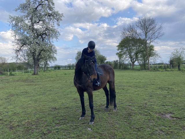 TROTTEUR FRANCAIS 19 ANS 