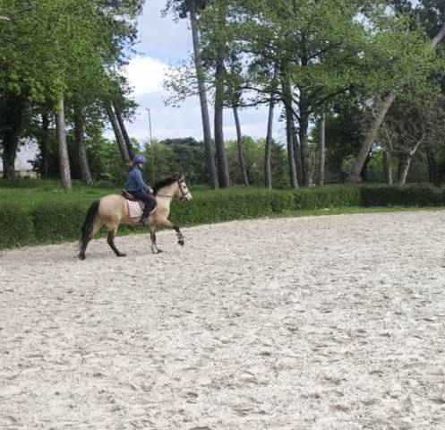 PFS - 4 ans - 1m40