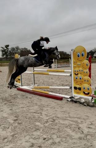 Poney C - 6 ans - moyens AS