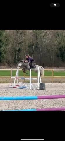 Poney C - 6 ans - AS2 AS1