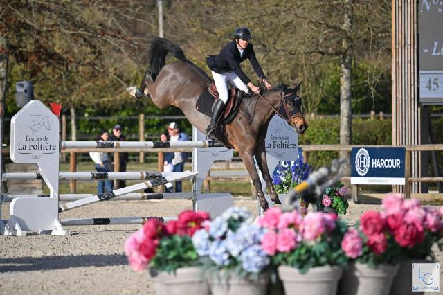 Jument mental extra genetique top 9 ans pour amateur el