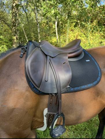 Selle Antares connexion 17,5 2019