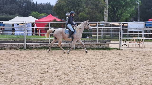 JUMENT POUR LOISIRS