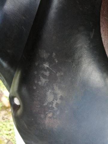 Selle Hervé Godignon One