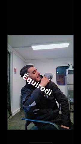Sofien 36 ans Palefrenier pour un poste logé 