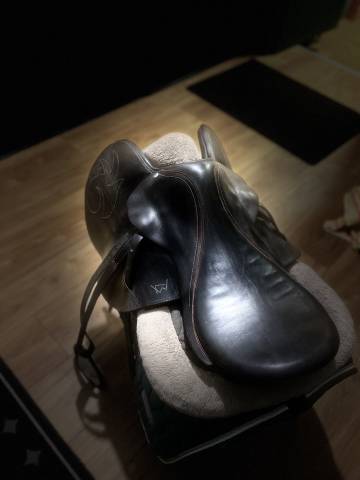 Selle d’entraînement 