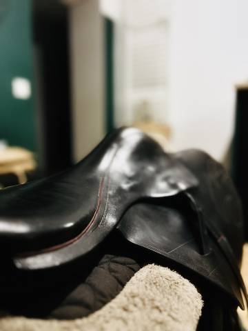 Selle d’entraînement 
