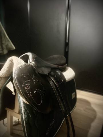 Selle d’entraînement 