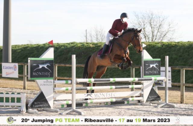 Cheval sport et loisir