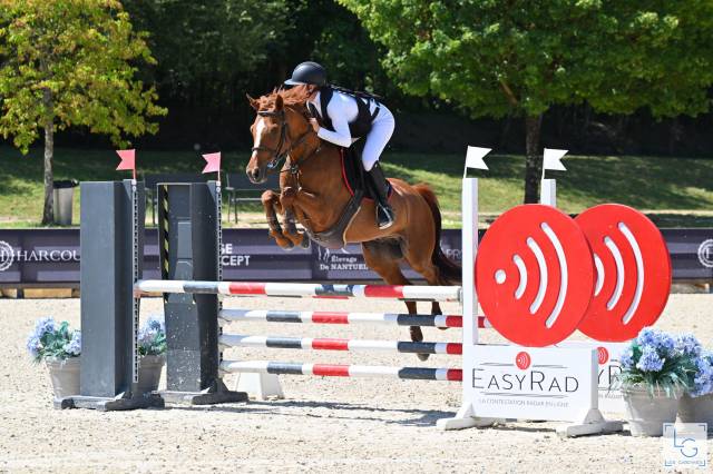 Poney hongre de 7ans - parfait jeune enfant moyens GP