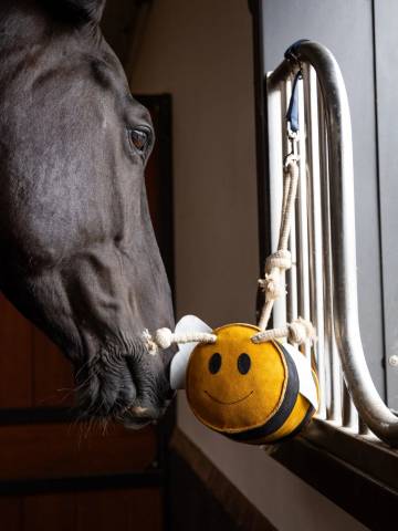 Jouet pour cheval abeille - Lemieux - 3d buzzy bee