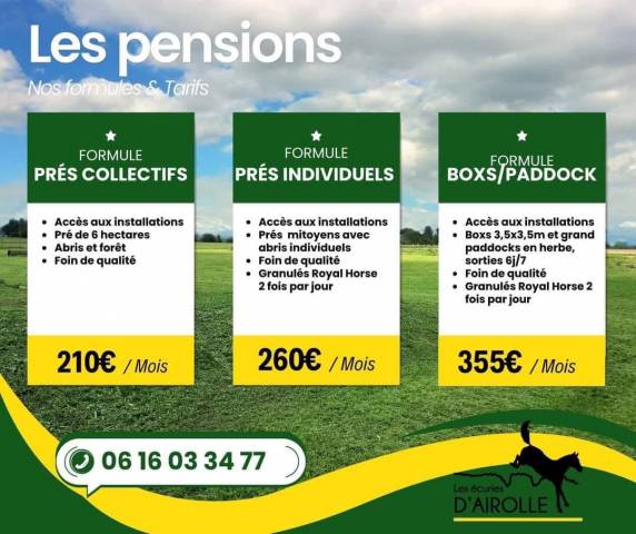 Box + paddock attenant