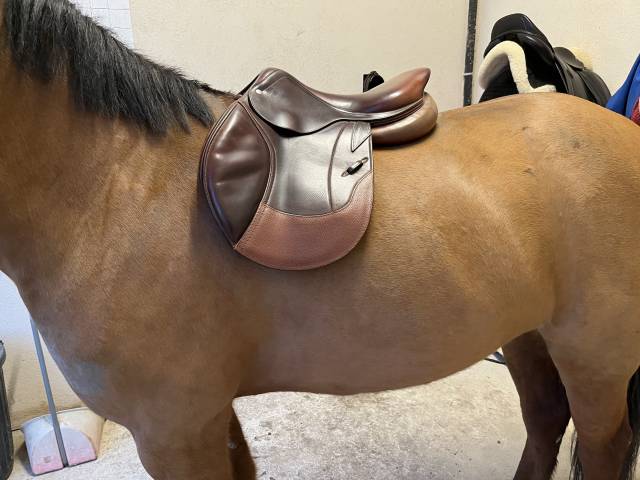 Selle Cwd 
