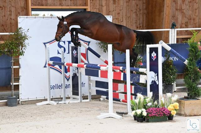 SF 6 ans fils de Cornet Obolensky