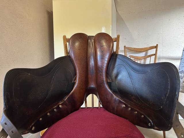 Belloir Saumur dressage 17,5” marron