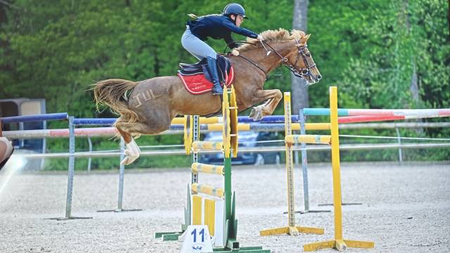 Poney de gp as 