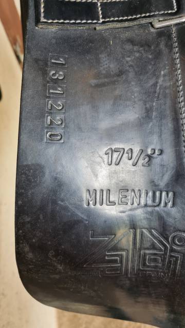 ZALDI DRESSAGE 17'5 MILENIUM