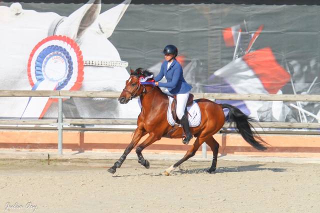 Poney D, 14 ans, CSO, P Élite 