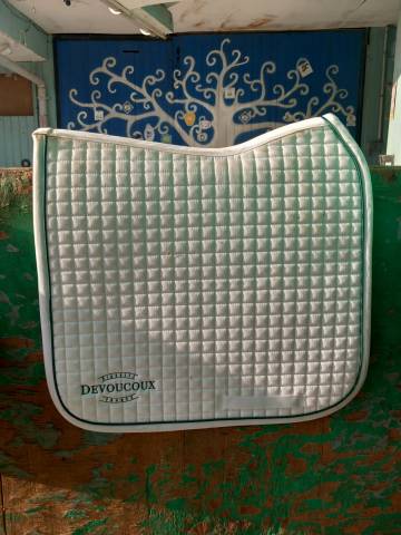 Tapis de dressage 