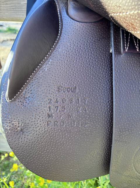 Selle Forestier 2024 17,5“ + sangles 