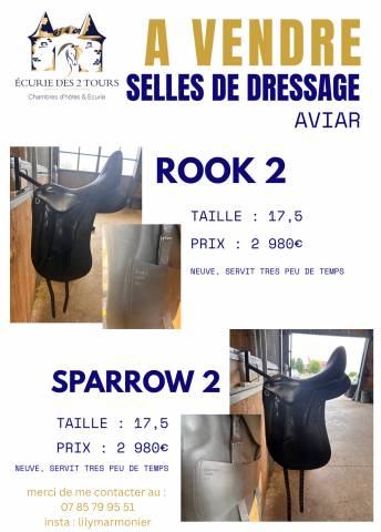 selles de dressage aviar