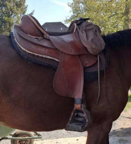 Barefoot arizona rose