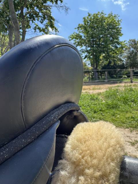 Selle DEVOUCOUX Makila Lab