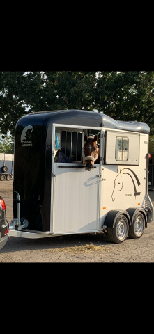 A VENDRE VAN 2 PLACES CHEVAL LIBERTE GOLD TOURING