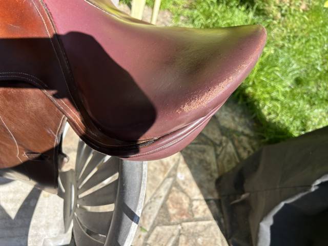  Selle Éric Mondange Sport