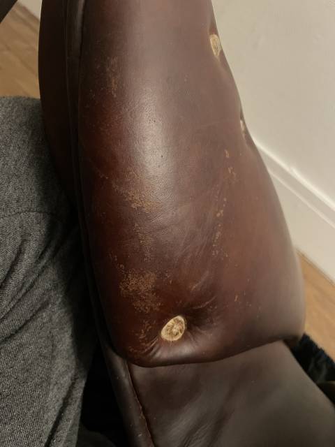 Selle Antares monoquartier Altair 