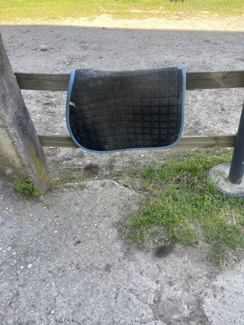 Tapis harcour 