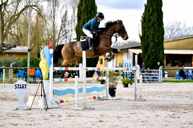 Jument Gagnante 130/135